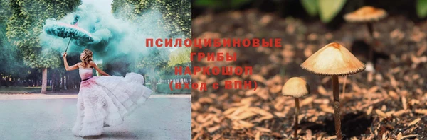 ГАЛЛЮЦИНОГЕННЫЕ ГРИБЫ Алексеевка