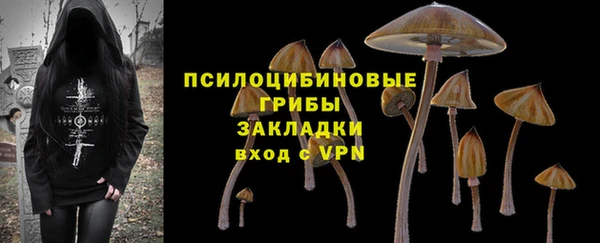 ГАЛЛЮЦИНОГЕННЫЕ ГРИБЫ Алексеевка
