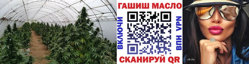 Дистиллят ТГК концентрат  Жиздра 
